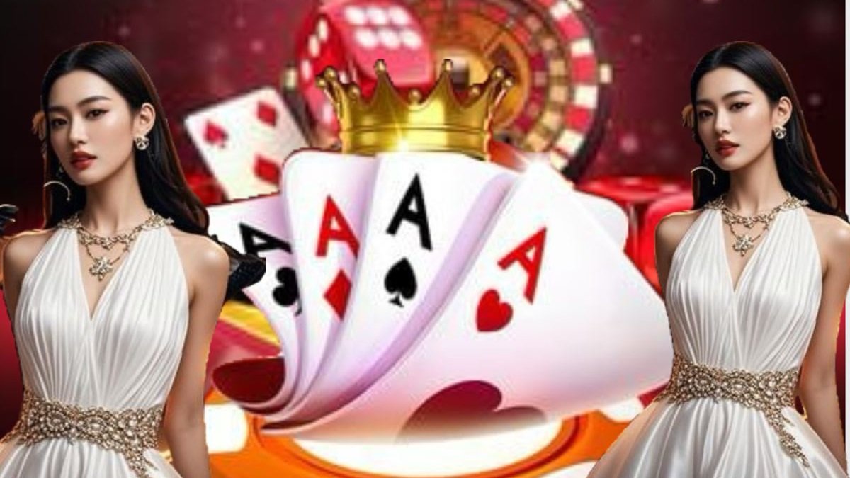 qq22com မိုဘိုင်း APP Android iOS